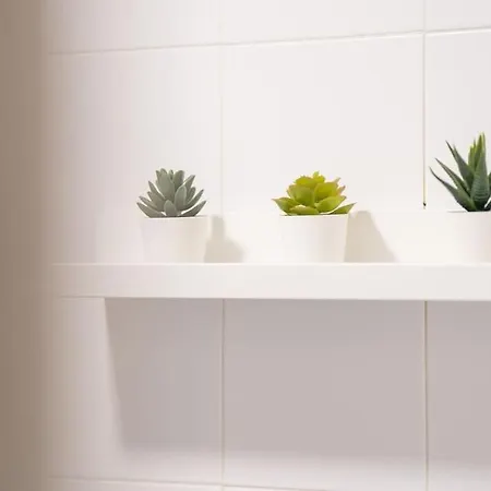 Appartement En El Centro De La Ciudad